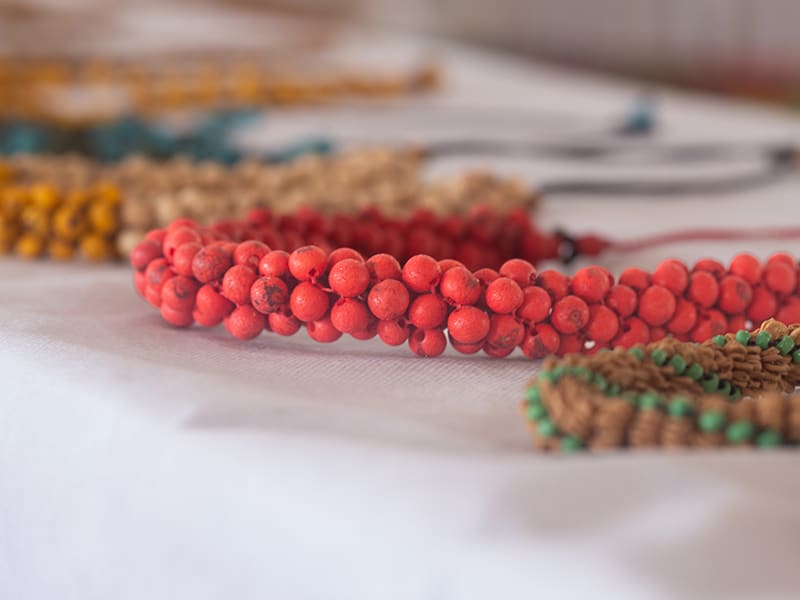 Colliers artisanaux en graines naturelles d’Amazonie