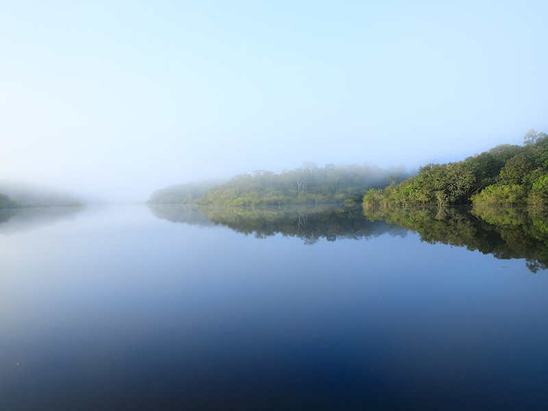 Fleuve en Amazonie enveloppé de brouillard