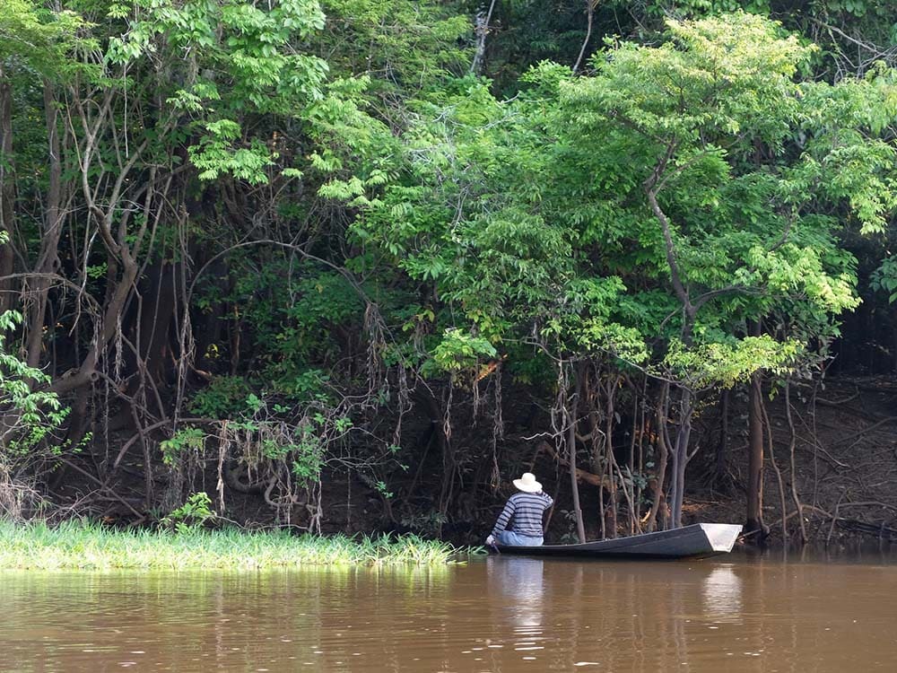 Caboclo assis dans une pirogue sur un igapó en Amazonie