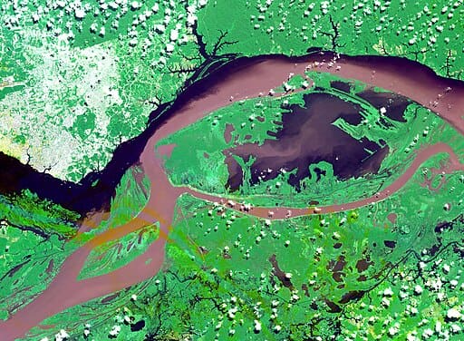 Image satellite de la confluence du Rio Negro et du fleuve Amazone près de Manaus, au Brésil