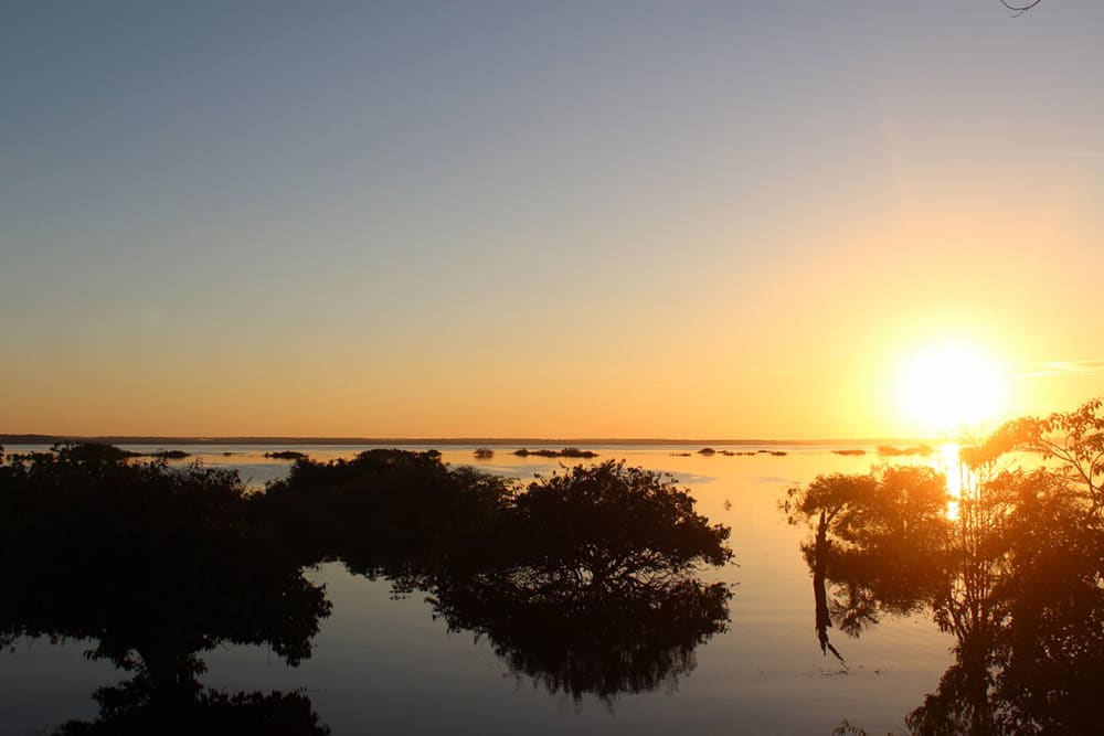 Paysage paisible de l’Amazonie à l’heure dorée, avec le soleil se couchant à l’horizon sur une étendue d’eau calme, parsemée de petits îlots de végétation. 