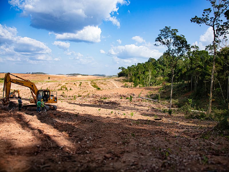 Scène de déforestation en Amazonie avec des excavatrices et des arbres abattus