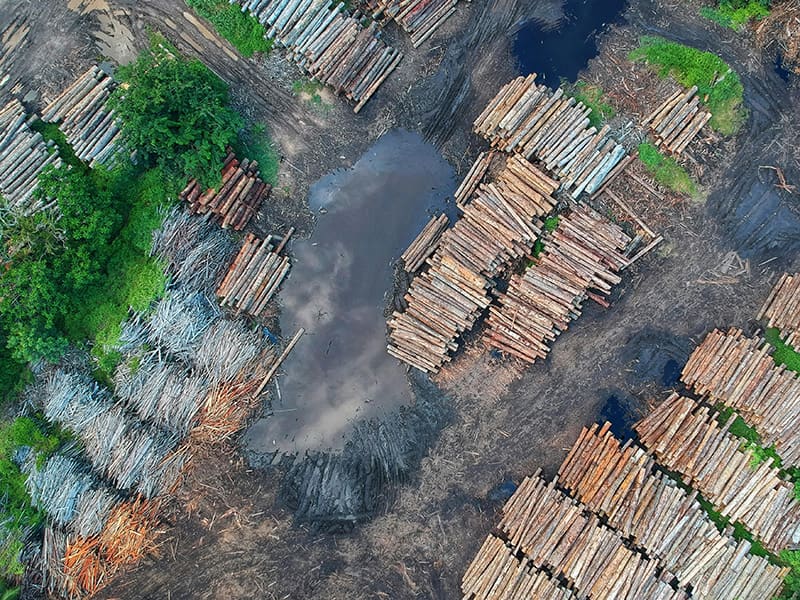 Vue aérienne d’une exploitation forestière en Amazonie