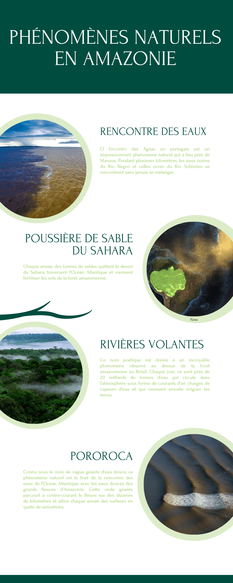 Infographie sur 4 phénomènes naturels en Amazonie : rencontre des eaux, poussière du Sahara, rivières volantes, pororoca.
