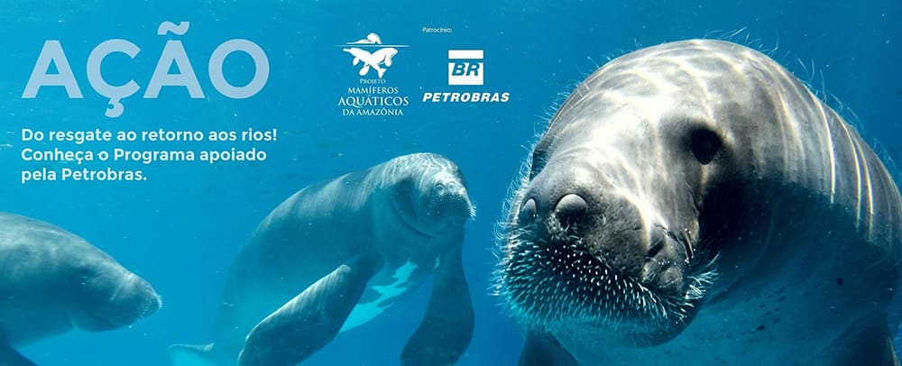 Affiche officielle du projet de l’AMPA