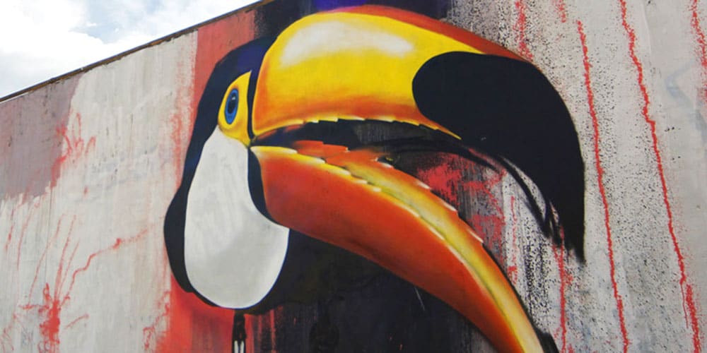 Graffiti d’un toucan aux couleurs éclatantes peint sur un mur urbain. 