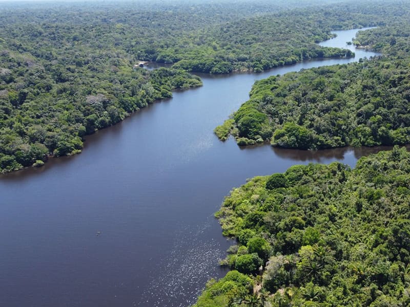 Vue aérienne d’un fleuve sinueux traversant la forêt amazonienne dense.