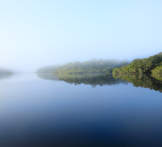 Vue aérienne d'un fleuve en Amazonie dans le brouillard