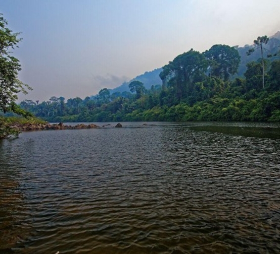 Vue d’un fleuve traversant la forêt amazonienne luxuriante, entouré de collines verdoyantes sous un ciel légèrement voilé