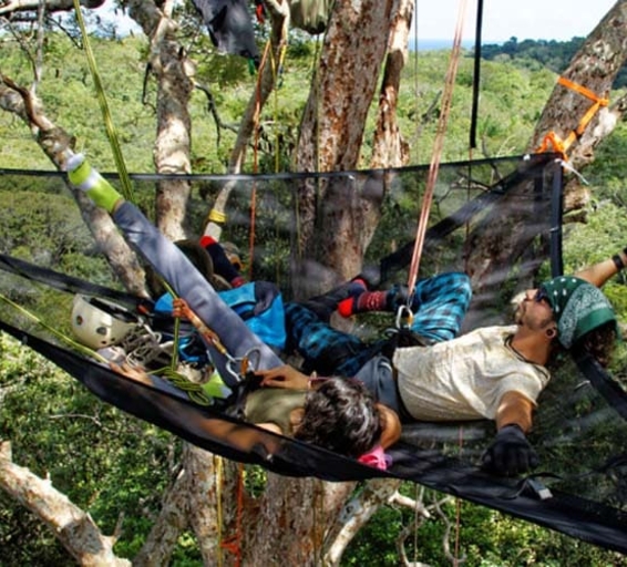 Repos dans un hamac suspendu au sommet de la forêt