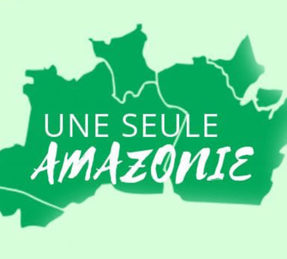 Carte stylisée en vert de l’Amazonie, découpée selon les frontières nationales mais fusionnée visuellement pour former une unité.
