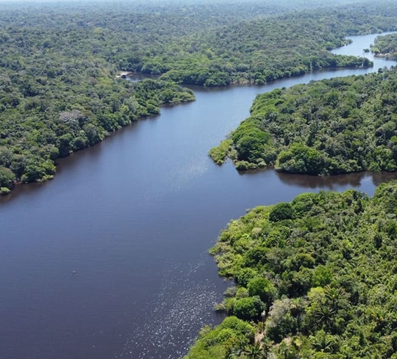 Vue aérienne d'un fleuve en Amazonie brésilienne