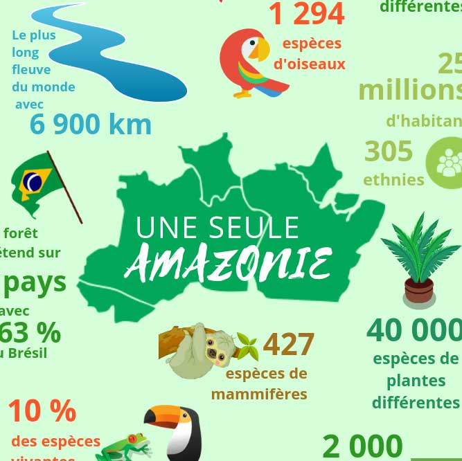 Voyage Au Coeur De La Foret Amazonienne Le Poumon Vert De La Planete Heliconia Amazonia